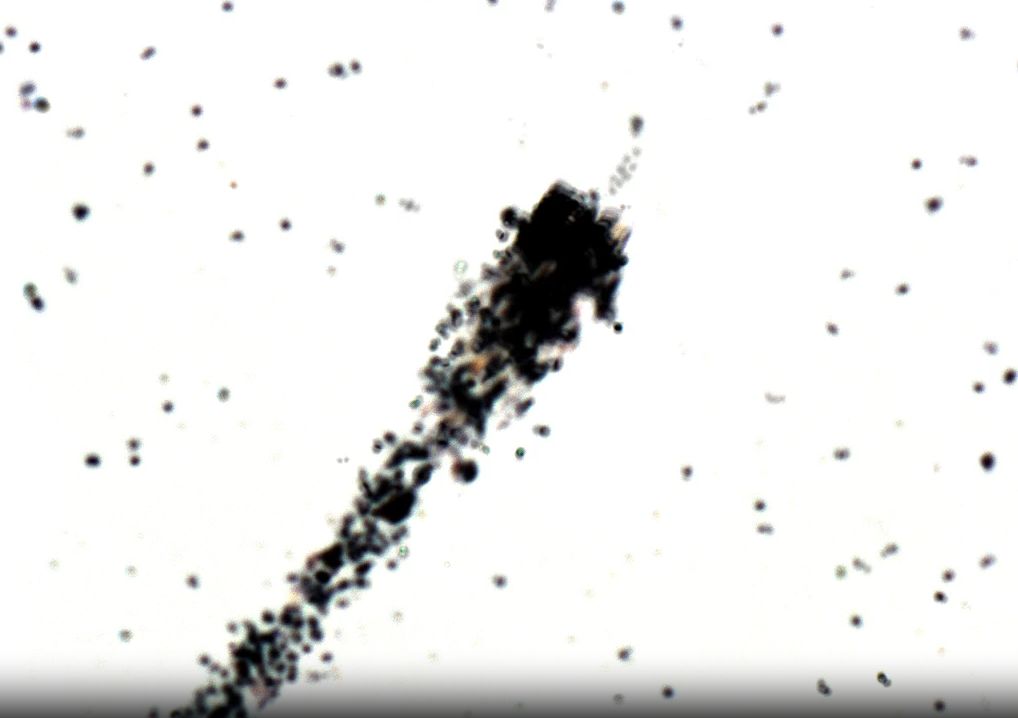 nano.jpg