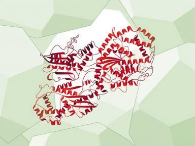 Química 2011