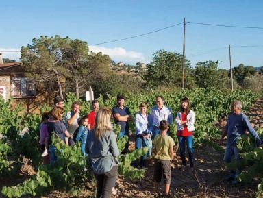 Agronomia 2017