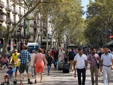 Demografia 2017
